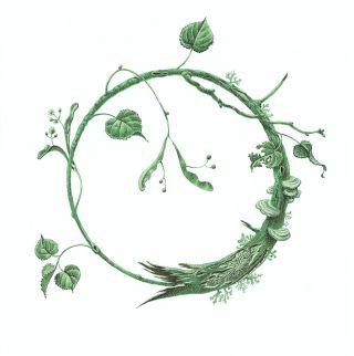 “Nesmrtelnost je obsažena v neustálém koloběhu obnovy.” — Corpus Hermeticum Rostlinný ouroboros ke knize Adaptogeny...